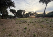 Parcel·la urbanitzable en venda a la España, Maçanes, ref.: TR411071 foto