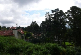 Tomiño 600&nbsp;m²