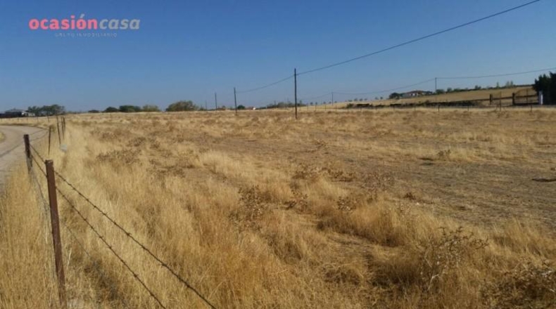 Córdoba - Pozoblanco - 25000m2