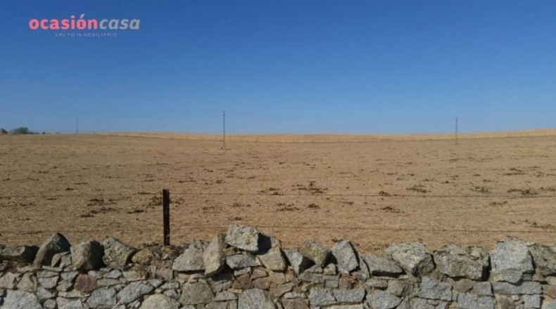 Córdoba - Pozoblanco - 25000m2