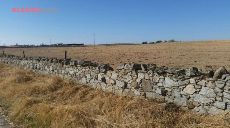 Córdoba - Pozoblanco - 25000m2