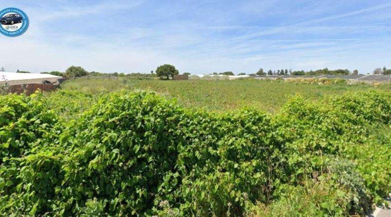 Cádiz - Chipiona - 2236m2