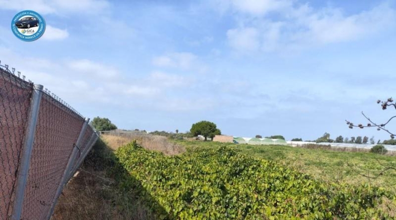 Cádiz - Chipiona - 2236m2