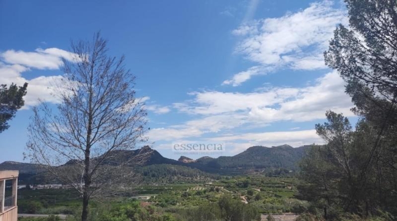 Valencia - Rótova - 1259m2