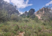 Suelo urbano en venta en la España, Alfauir, ref: TR314217 foto