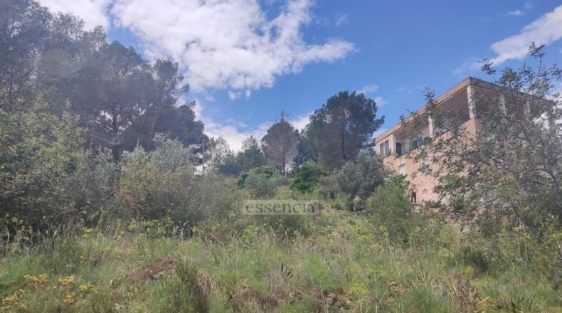 Valencia - Rótova - 1259m2