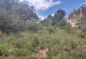 Suelo urbano en venta en la España, Alfauir, ref: TR314217 foto