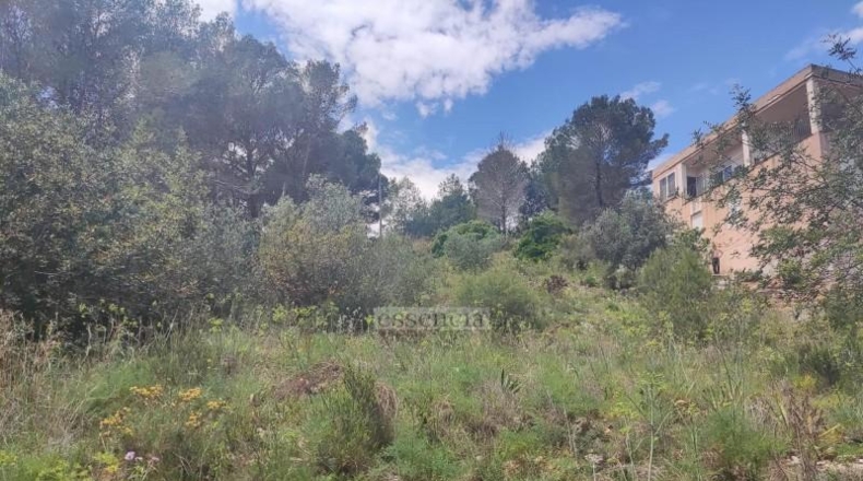 Valencia - Rótova - 1259m2
