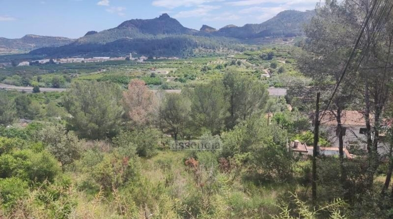 Valencia - Rótova - 1259m2