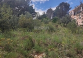 Suelo urbano en venta en la España, Alfauir, ref: TR314217 foto