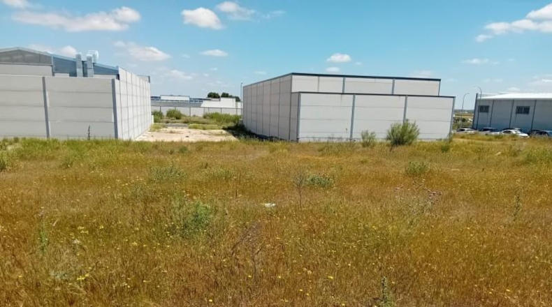 Ciudad Real - Almagro - 716m2