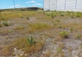 Suelo urbano en venta en la España, Almagro, ref: TR398390 foto