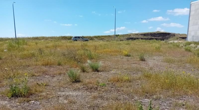 Ciudad Real - Almagro - 716m2