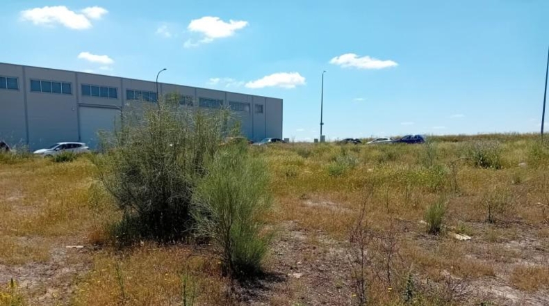 Ciudad Real - Almagro - 716m2