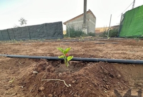 Foto 6