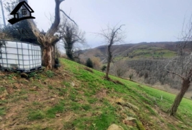 Foto 8