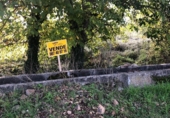 Non-developable land for sale on España, Carracedelo, ref: TR306921 photo