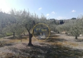 Terreny no urbanitzable en venda a la España, Ontinyent, ref.: TR119269 foto