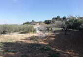 Terreny no urbanitzable en venda a la España, Ontinyent, ref.: TR119269 foto