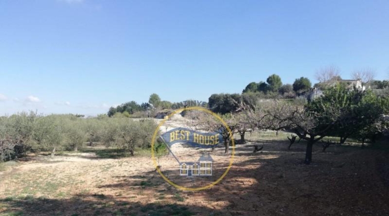 València - Onteniente - 8000m2