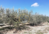 Terreny no urbanitzable en venda a la España, Ontinyent, ref.: TR119269 foto