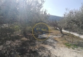 Terreny no urbanitzable en venda a la España, Ontinyent, ref.: TR119269 foto