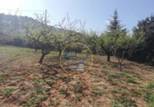 Terreny no urbanitzable en venda a la España, Ontinyent, ref.: TR119269 foto