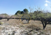 Terreny no urbanitzable en venda a la España, Ontinyent, ref.: TR119269 foto