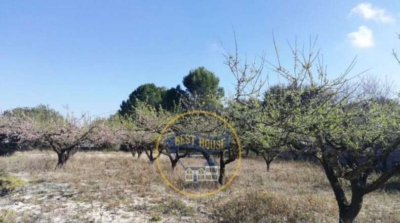 València - Onteniente - 8000m2