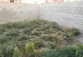 Sòl urbà en venda a la España, Pedrola, ref.: TR371905 foto