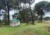 Terreny no urbanitzable en venda a la España, San Bartolomé de la Torre, ref.: TR384291 foto