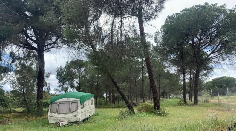 Huelva - San Bartolomé de la Torre - 10085m2