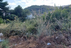 Foto 11