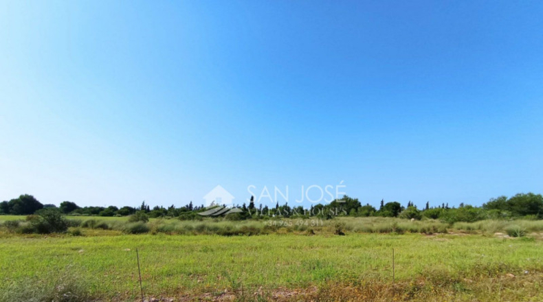 Alicante - Elx - 9840m2