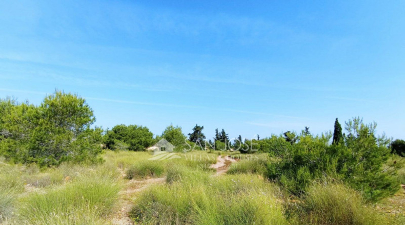 Alicante - Elx - 9840m2