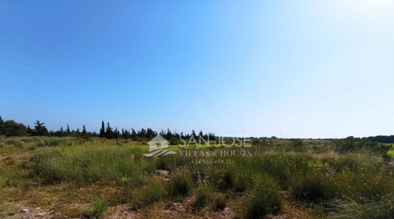 Alicante - Elx - 9840m2