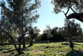 l'Ametlla de Mar 24000&nbsp;m²