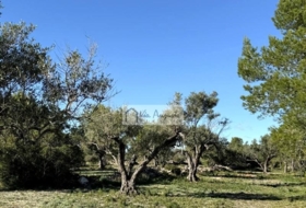 l'Ametlla de Mar 24000&nbsp;m²