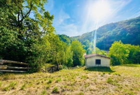 Foto 12