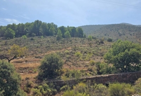 Fondón 61208&nbsp;m²