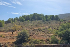 Fondón 61208&nbsp;m²