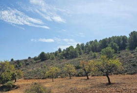Fondón 61208&nbsp;m²