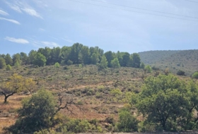 Fondón 61208&nbsp;m²