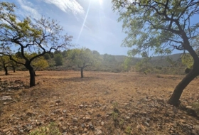 Fondón 61208&nbsp;m²