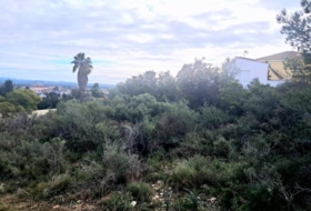 Foto 13