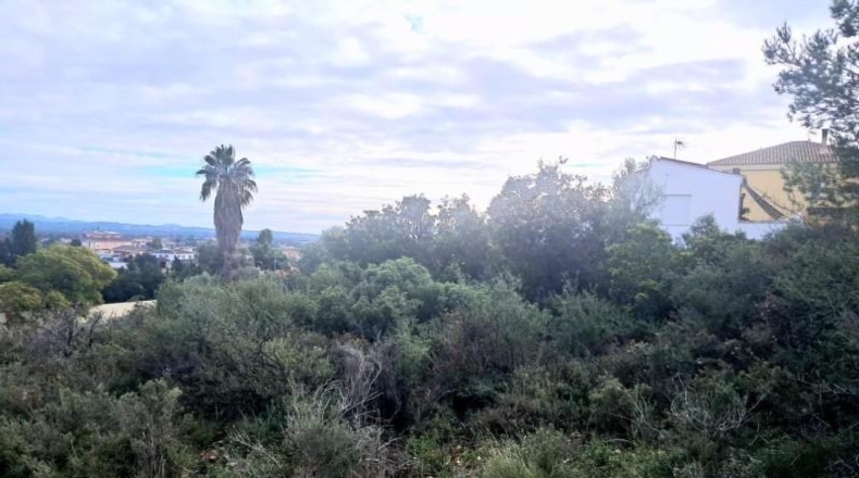Valencia - Puebla de Vallbona - 1814m2