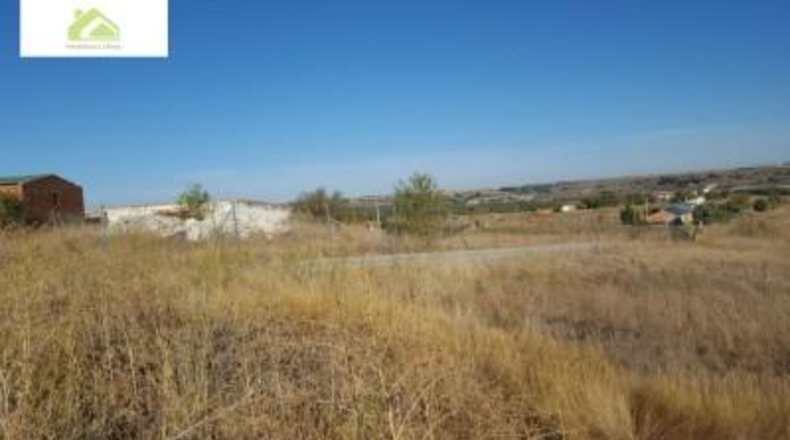 Zamora - Zamora - 7000m2