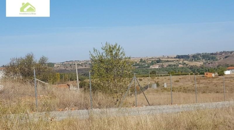 Zamora - Zamora - 7000m2