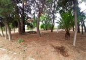 Suelo urbano en venta en la España, Hellín, ref: TR118189 foto