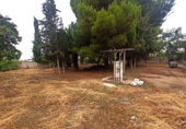 Suelo urbano en venta en la España, Hellín, ref: TR118189 foto